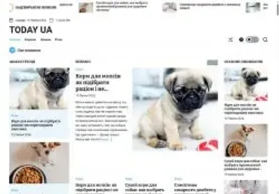 Превʼю todayua com ua