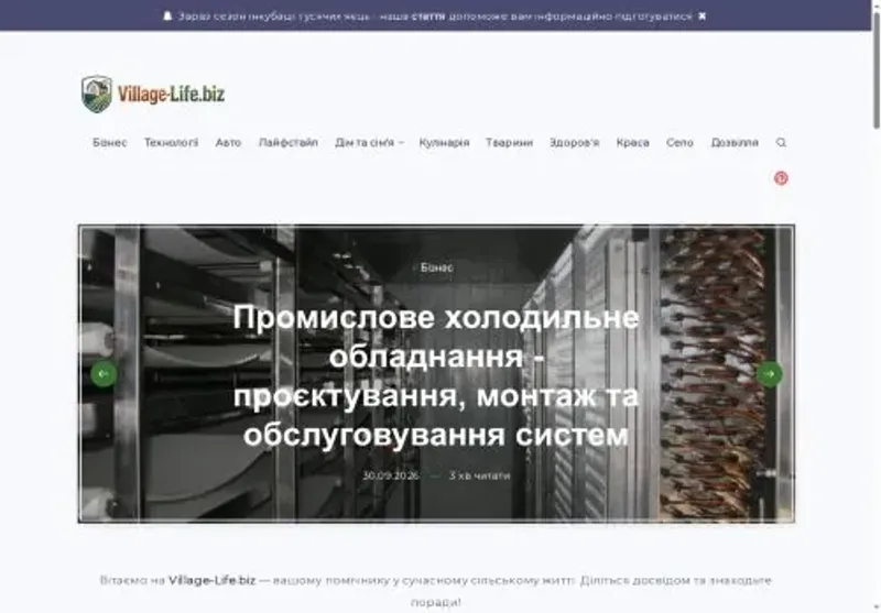 Скріншот Village Life